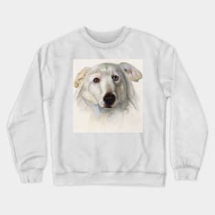 Maremma dog Crewneck Sweatshirt